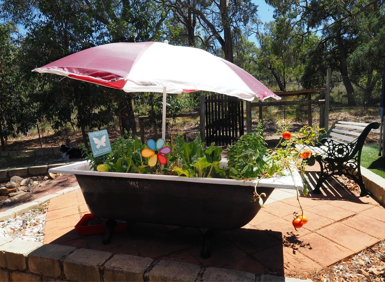 Bed and Breakfast Darlington House Екстер'єр фото